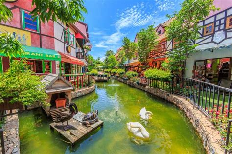 mimosa pattaya